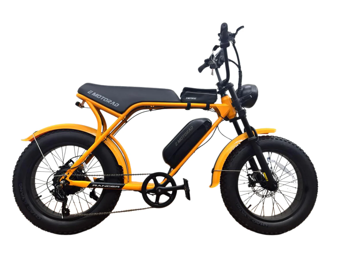 E-Motorad Electric cycle